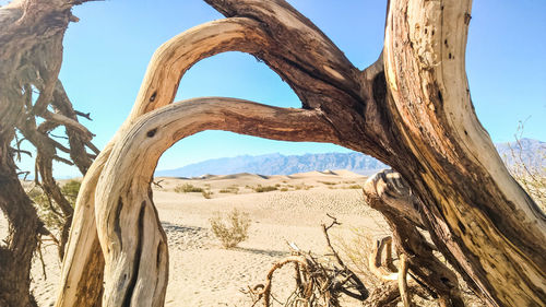 View of sand against clear sky