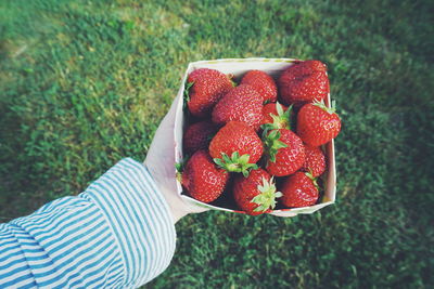 Close-up of hand holding strawberries