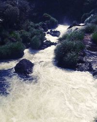 Stream flowing through rocks