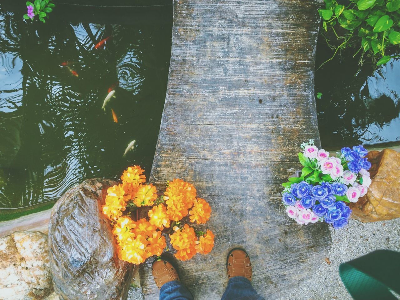 nature, flower, high angle view, flowering plant, plant, day, low section, water, human leg, reef, one person, leaf, outdoors, art, yellow, personal perspective, shoe, directly above, lifestyles, beauty in nature, plant part, leisure activity, freshness, lake, standing