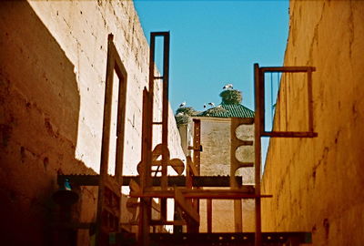 Bird on built structure against clear sky