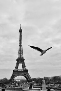 Low angle view of birds flying against cloudy sky