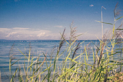 Scenic view of beach and sea against sky