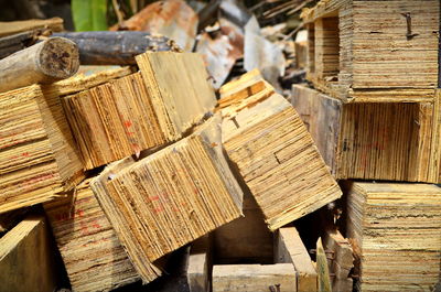 Stack of logs in forest