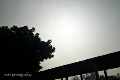 Low angle view of silhouette trees against sky