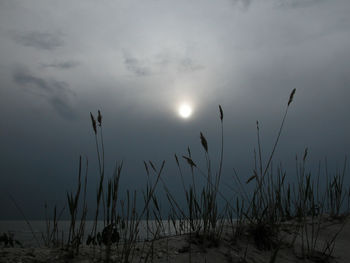Silhouette grass against sky at sunset
