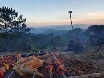 High angle view of meat on field against sky during sunset