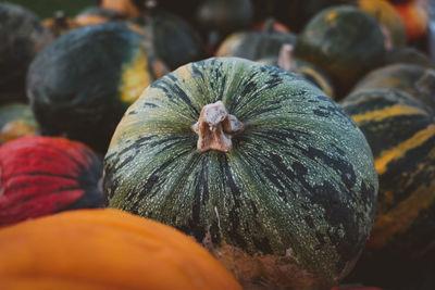 Close-up of pumpkin for sale at market