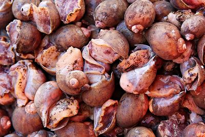 Full frame shot of onions for sale at market