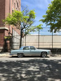 Cars on street in city against sky