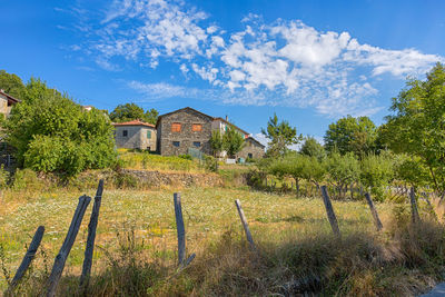 House on field by trees against sky