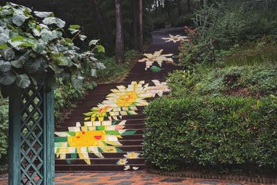 Flowers growing in cemetery