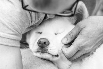 Close-up of man stroking dog