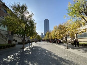 Street amidst trees and buildings against sky