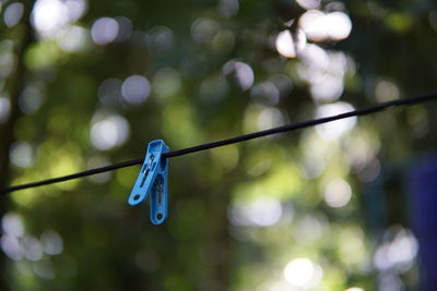 Close-up of clothespins hanging on rope against blurred background