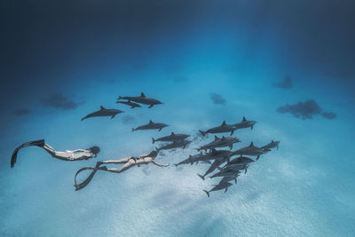 Women snorkeling with fishes underwater