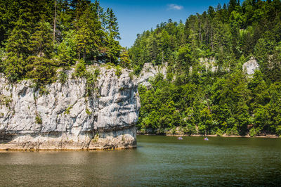 Plants growing on rock by lake against sky