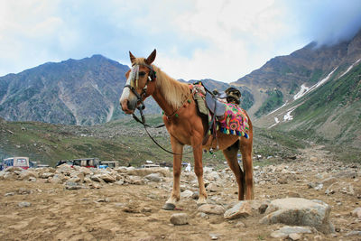 Horses on mountain range against sky