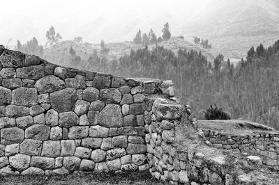 Stone wall against trees on landscape