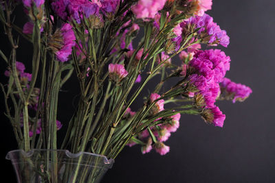 Close-up of flowering plant