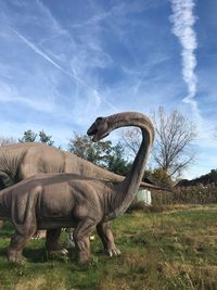 Elephant in a field