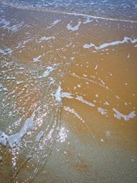 View of waves on beach