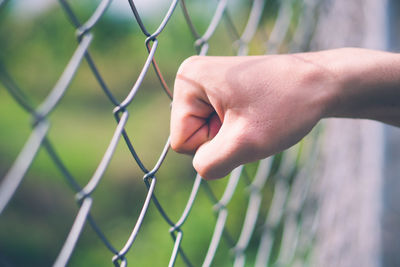 Close-up of hand holding chainlink fence