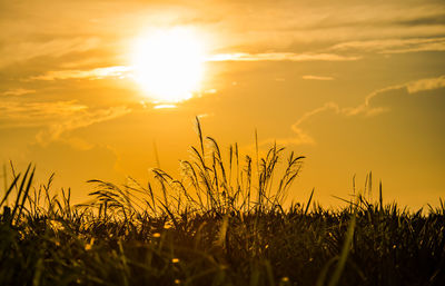 Scenic view of sunset over field