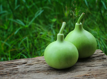 Close-up of apples on table
