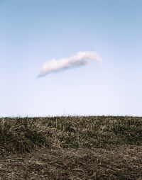 Scenic view of field against clear sky