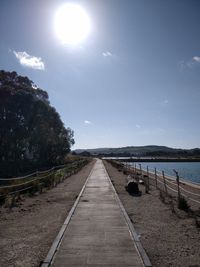 Empty road amidst trees against sky