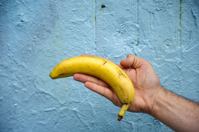 Close-up of hand holding orange fruit on wall