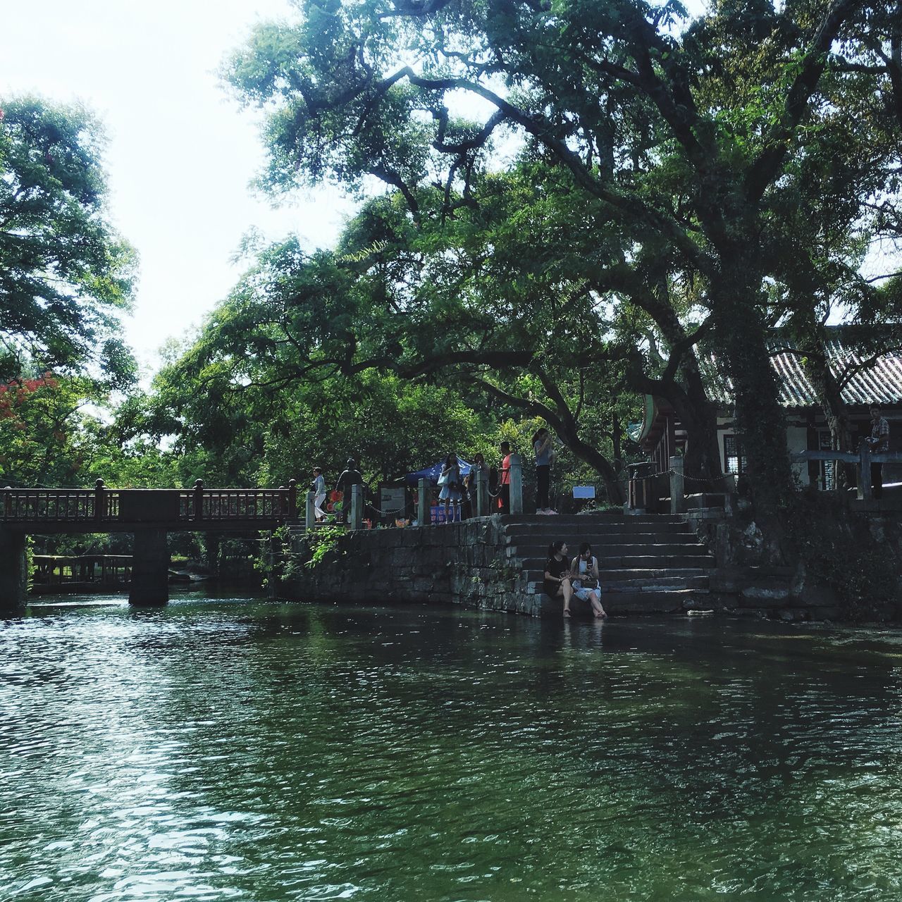 TREES BY WATER