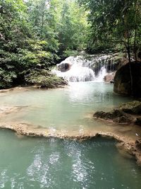 Scenic view of waterfall in forest