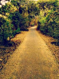 Road passing through trees