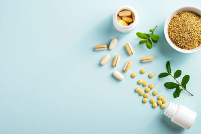 Vitamins and herbal supplements in jars with a green plant on a blue background. 