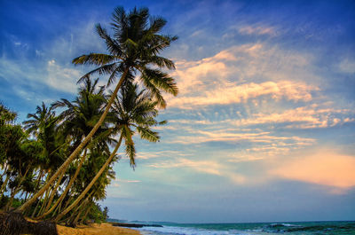 Scenic view of sea against sky at sunset