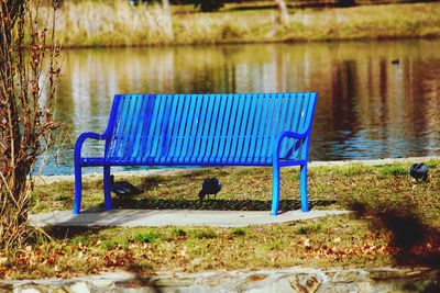 Empty bench in park by lake