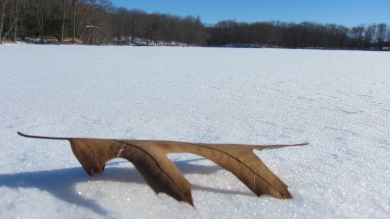 CLOSE-UP OF FROZEN ICE ON GROUND