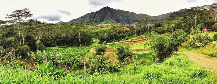 Scenic view of mountains