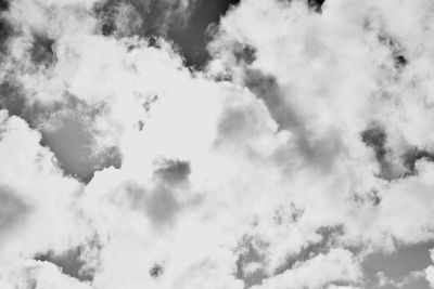 Low angle view of trees against sky