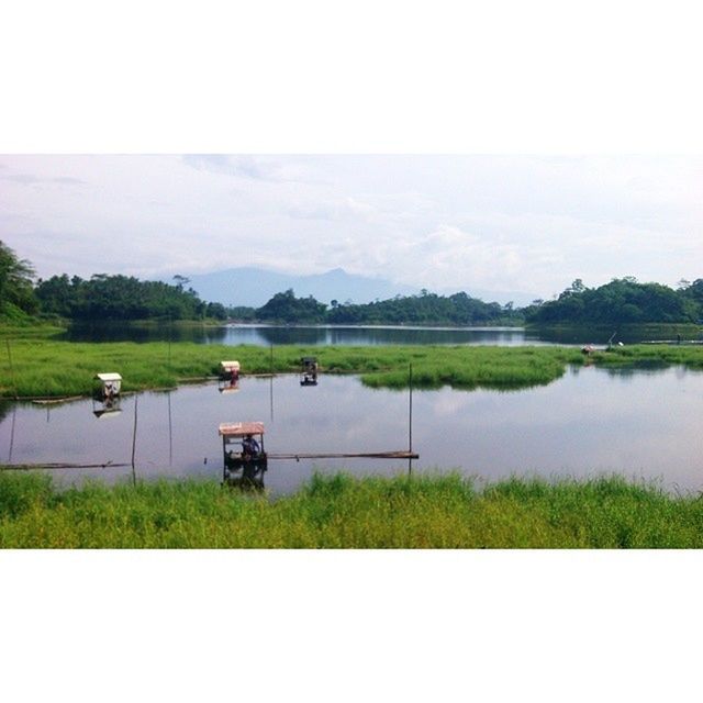 water, grass, sky, lake, tranquil scene, tranquility, field, nature, scenics, beauty in nature, green color, landscape, transportation, tree, plant, growth, river, cloud - sky, rural scene, mode of transport