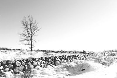 Scenic view of field against clear sky