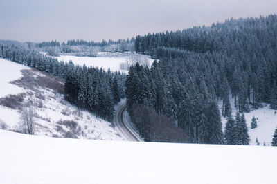 Snow covered trees in forest against sky