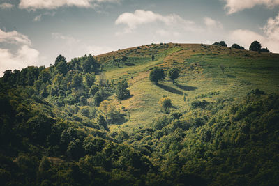 Scenic view of landscape against sky