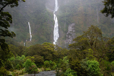 Scenic view of waterfall in forest