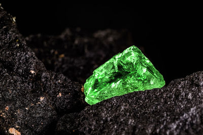 Close-up of green leaf on rock