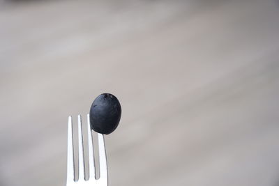 Black olive on fork