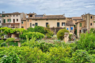 Plants and buildings against sky