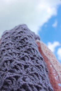 Close-up of crocodile against sky during winter